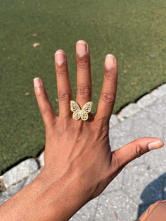 Monarch - Charmed In Fashion